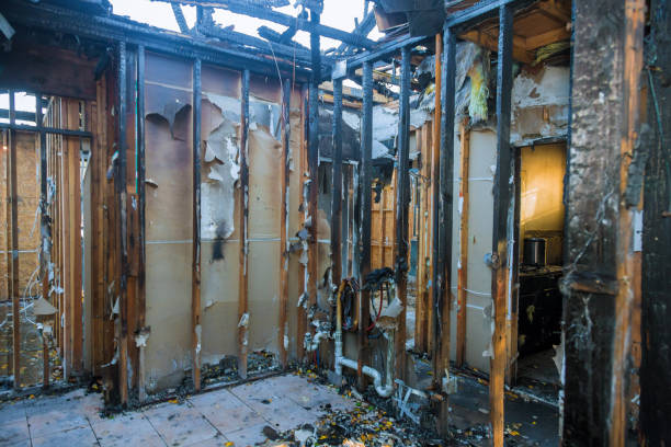 Professional Fire Damage Assessment technician working in Manor, TX